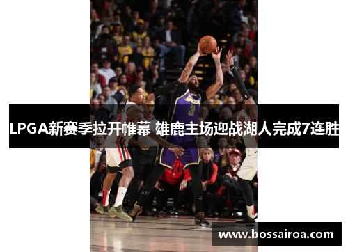 LPGA新赛季拉开帷幕 雄鹿主场迎战湖人完成7连胜